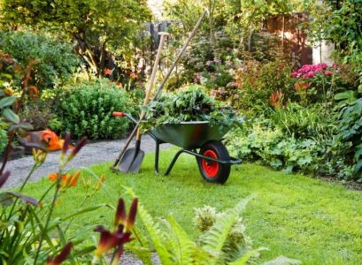 entretien-pelouse-mauvaises-herbes-conseils-astuces