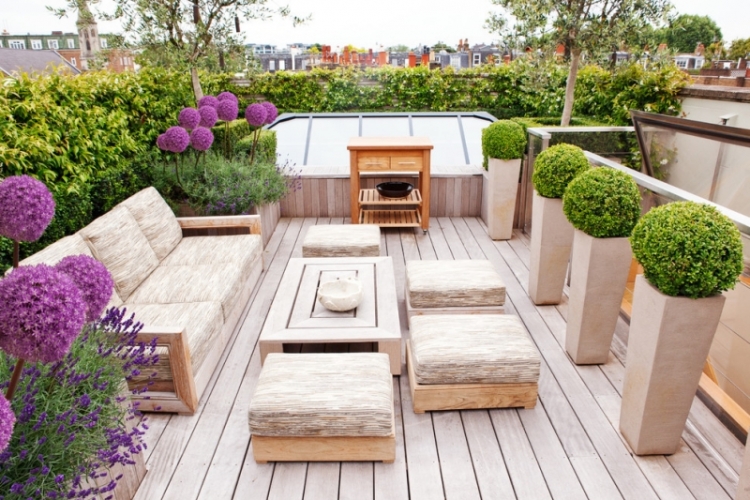 fleurs-balcon-plein-soleil-terrasse-bois-buis-boule-haie-vive-lavande-allium-pourpre