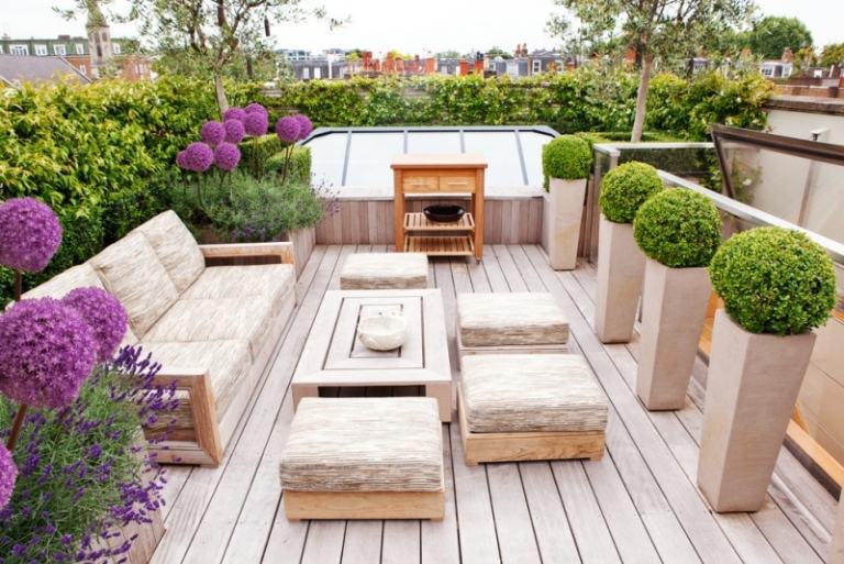 fleurs-balcon-plein-soleil-terrasse-bois-buis-boule-haie-vive-lavande-allium-pourpre fleurs de balcon