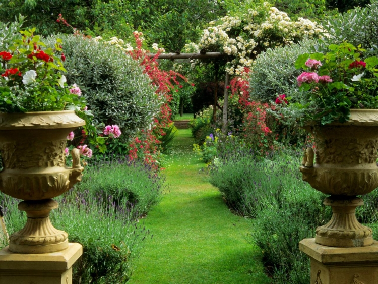 fleurs-jardin-été-allée-pétunias-géraniums-lavande-arbuste-fleuri