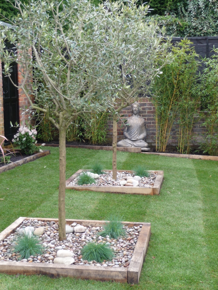 ghiaia per giardino-dimora-piante-grasse  Gravier décoratif, Jardin en  gravier, Amenagement jardin