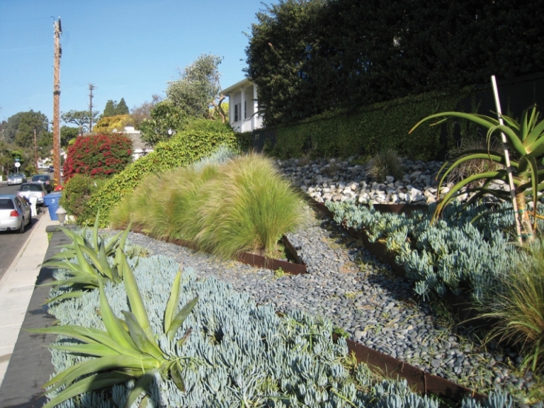 gravier-decoratif-jardin-graminées-ornementales-succulentes-haie