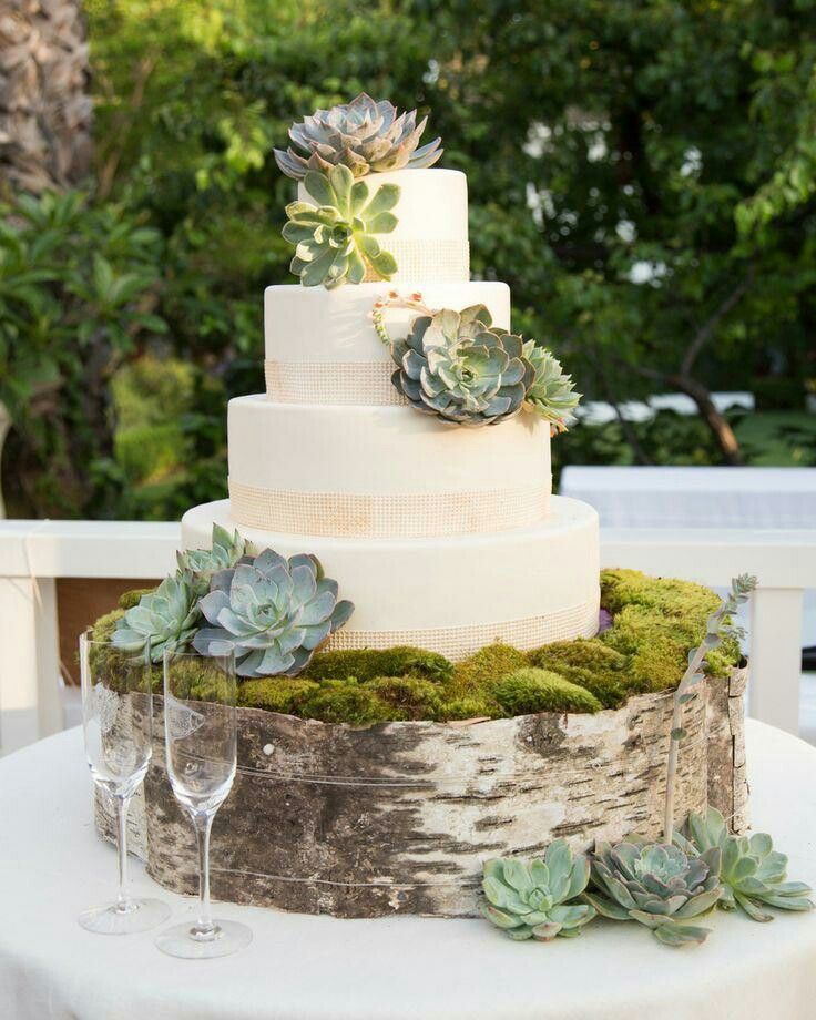 gâteau-mariage-original-décoré-plantes-succulentes-écorce-mousse