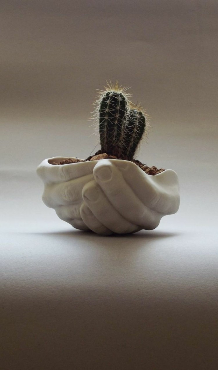 idée-originale-pot-pour-plante-intérieur-cactus-mains