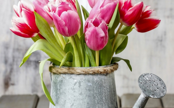 idée-originale-vase-tulipes-arrosoir-métallique-récupération