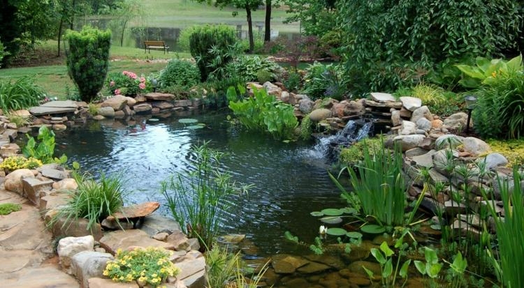 idée-étang-jardin-bassin-aquatique-fabriquer-soi-même