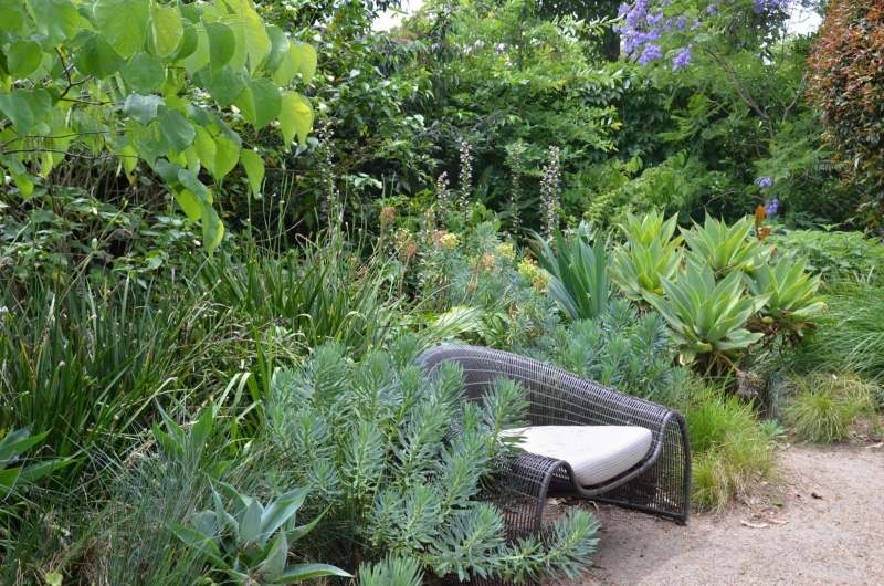 idées-amenagement-jardin-fauteuil-rotin-jardin-végétation-abondante
