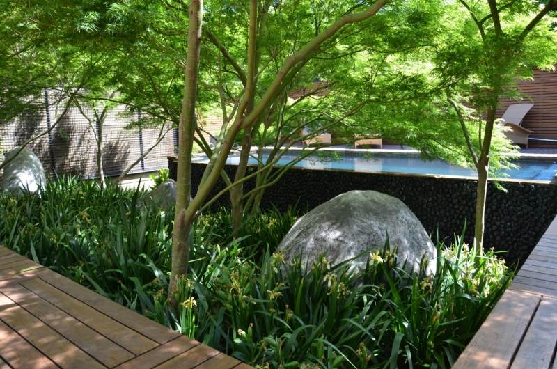 idées-amenagement-jardin-rocher-piscine-hors-sol-plantes-vertes idées aménagement jardin