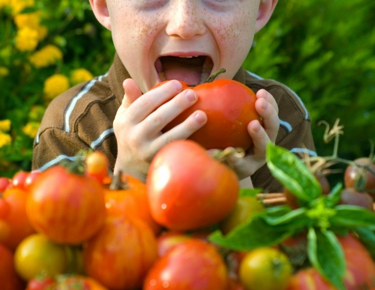 idées-repas-légumes-essentiels-santé-enfants