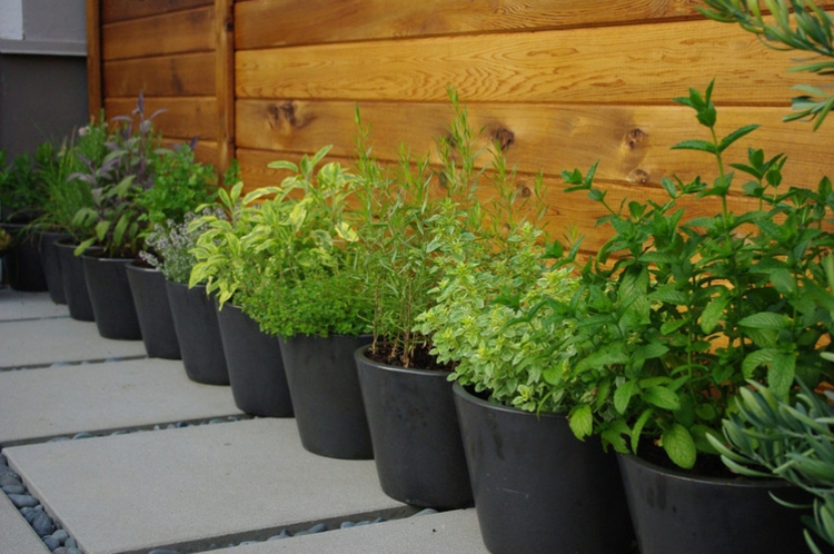 jardin-herbes-aromatiques-pots-réaliser-balcon