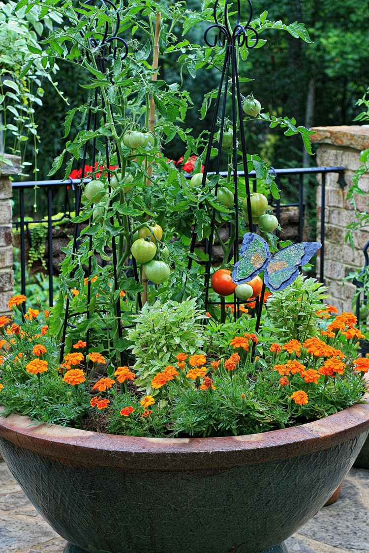 jardin potager balcon tomates herbes-fleurs-grand-pot-pierre
