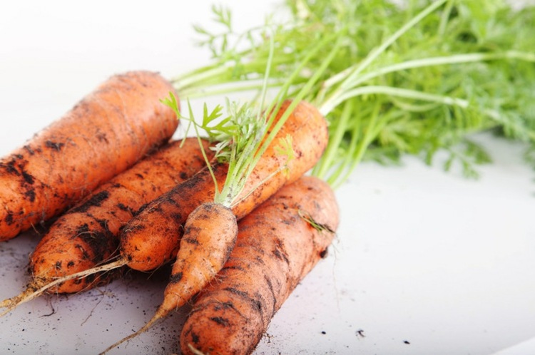 jardin-potager-carottes-legumes-de-saison