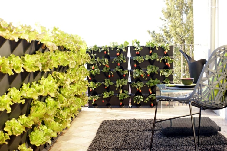 jardin potager vertical-salades-fraises-éconimiser-espace