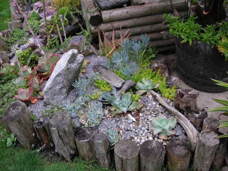 jardin-rocaille-plantes-succulentes-décoration-bois-flotté