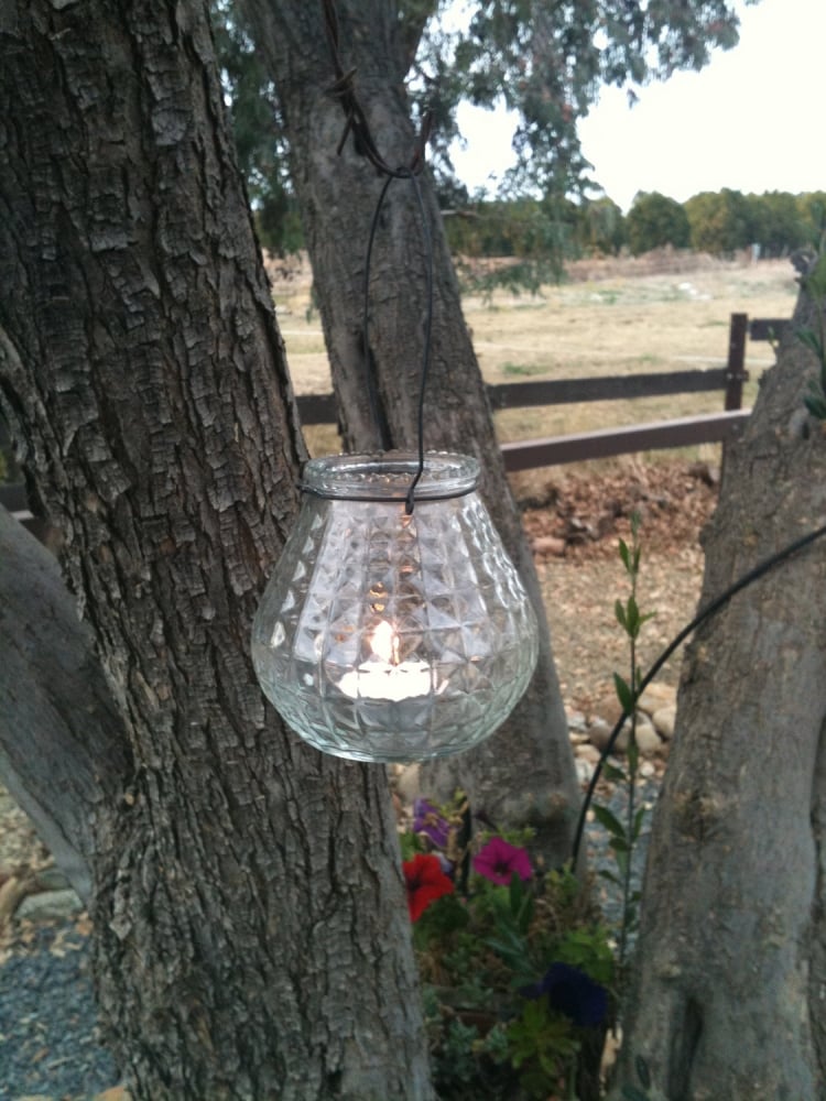 lanterne-extérieure-accrocher-branche-arbre-jardin