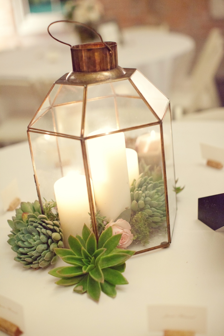 lanterne extérieure hexagonale-verre-métal-plantes-succulentes