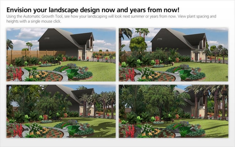 logiciel gratuit plan-jardin-3d-Punch-Landscape-designer-parterre-palmiers