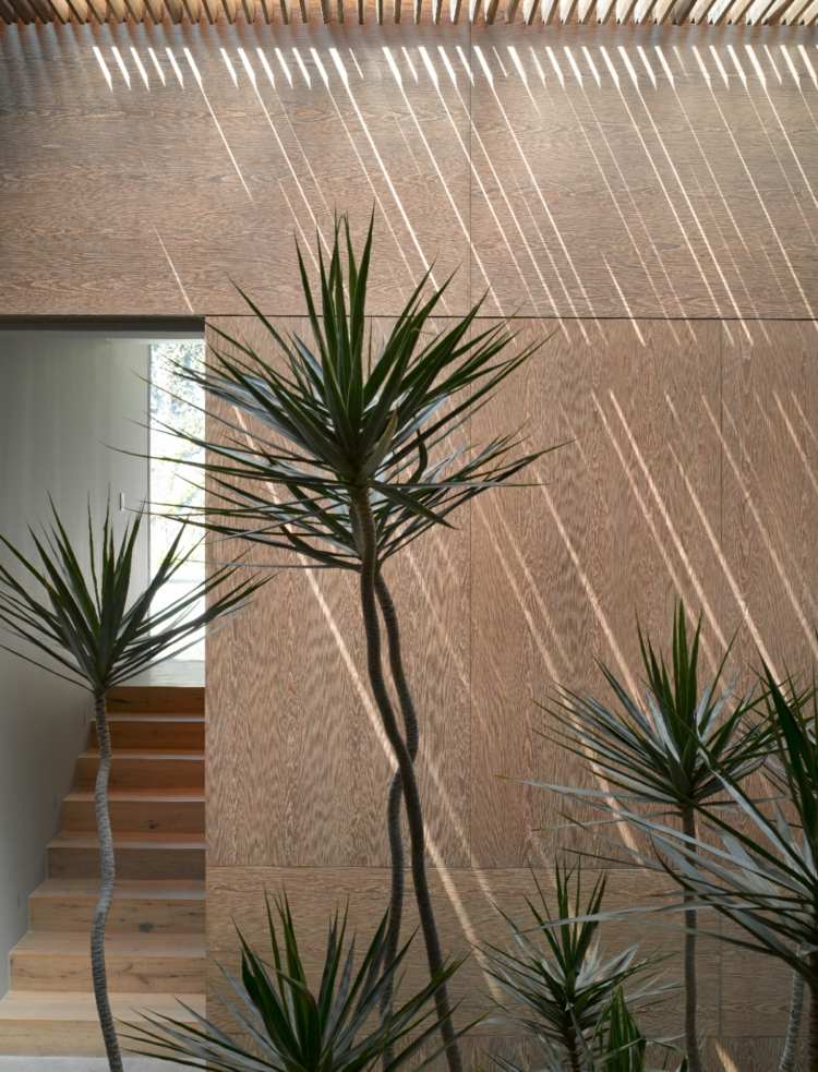 maison-luxe-Mexique-jardin-intérieur-palmiers