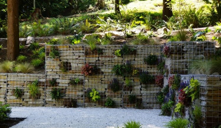 mur-gabion-décoration-jardin-pots-plantes-vertes-pierres mur en gabion
