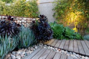 mur-gabion-décoration-jardin-terrase-bois-galets-succulentes
