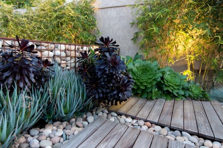 mur-gabion-décoration-jardin-terrase-bois-galets-succulentes