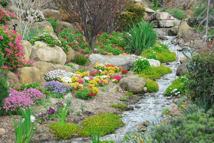 plantes-couvre-sol-rivière-fleurs-multicolores-ambiance