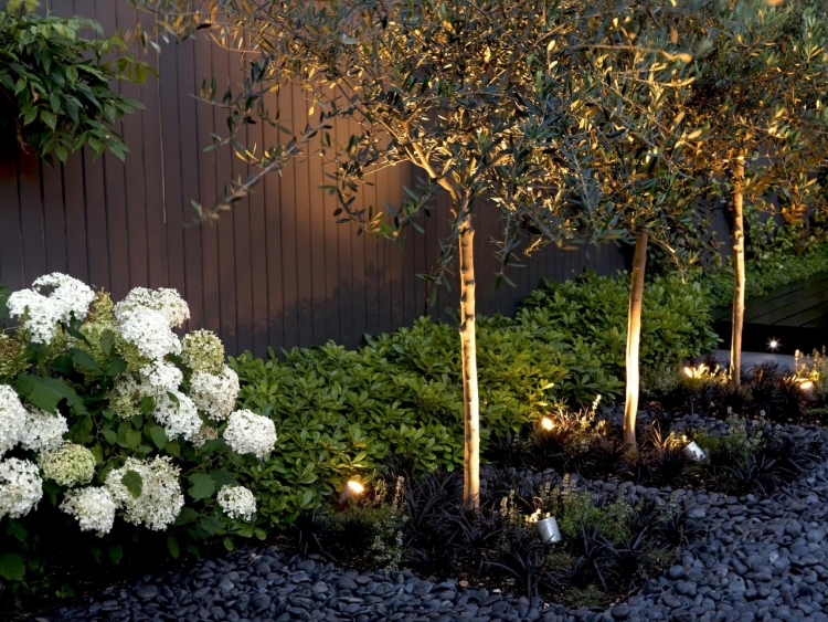 plantes d'ombres hortensias-blanches-gravier-decoratif-eclairage-exterieur-deco-idees