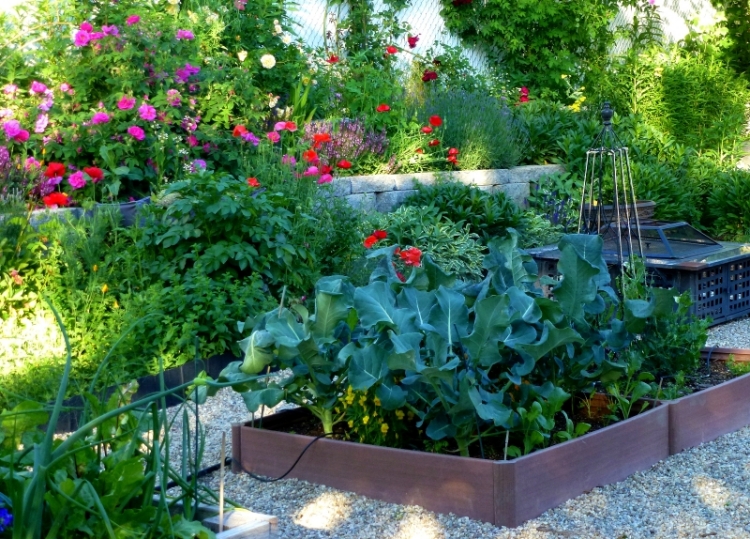 plantes-et-jardin-jardiniere-roses-idees-de-deco-exterieure