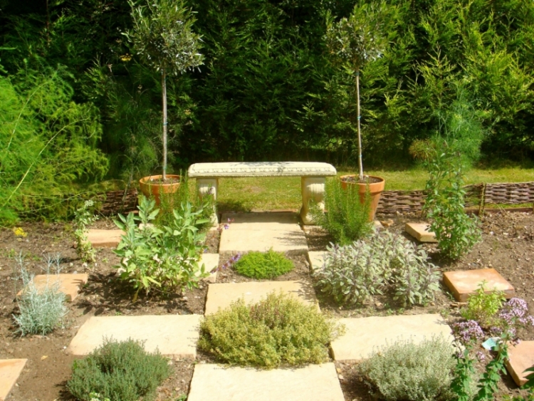 plantes-et-jardin-thym-banc-motif-damier-revetement-sol