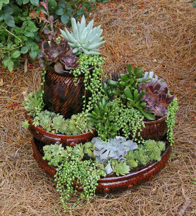 plantes-succulentes-diy-deco-mini-jardin-decoratif-idee