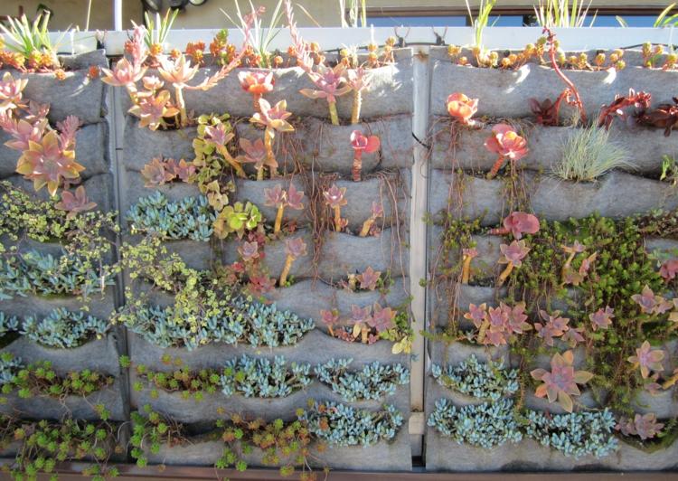 plantes-succulentes-diy-deco-mur-vegetal-original