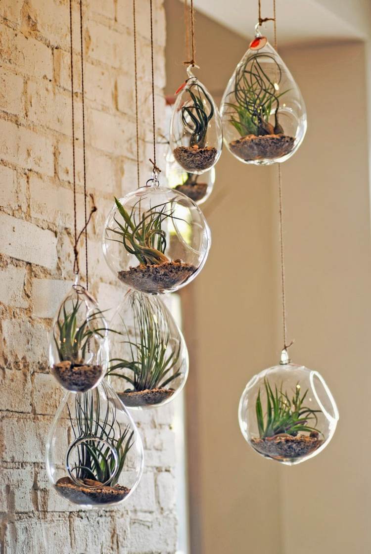 plantes-succulentes-diy-deco-pots-suspendu-verre