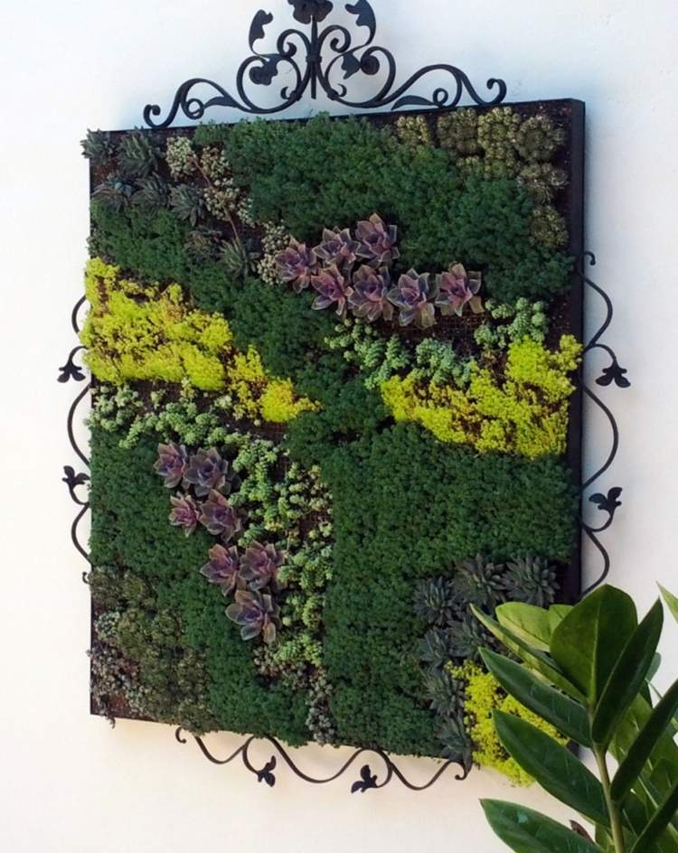 plantes-succulentes-mur-vegetal-diy-deco-idees
