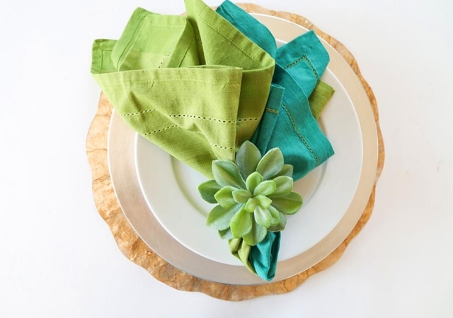 pliage-serviette-tissu-2-couleurs-vert-plante-succulente