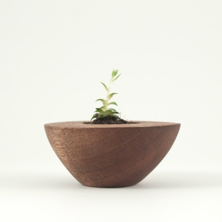pot-bois-design-original-petite-plante-intérieure