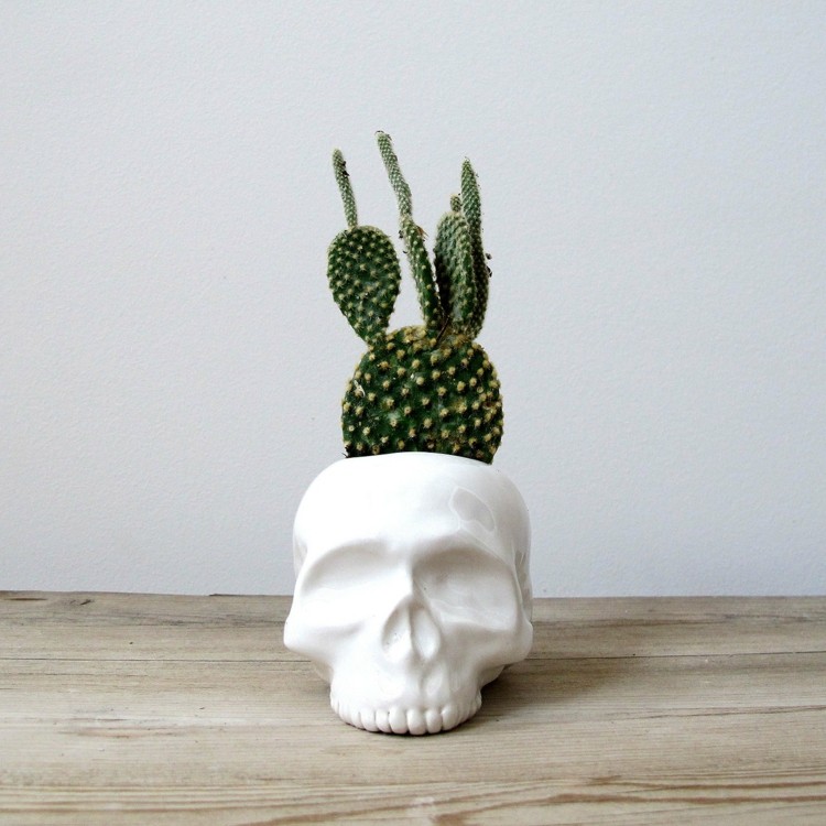 pot-pour-plante-intérieur-original-céramique-forme-crâne-cactus