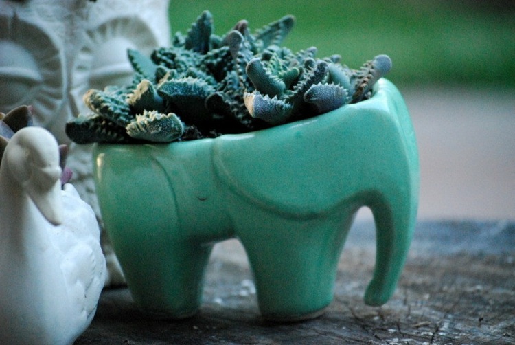 pot pour plante intérieur-original-céramique-forme-éléphant