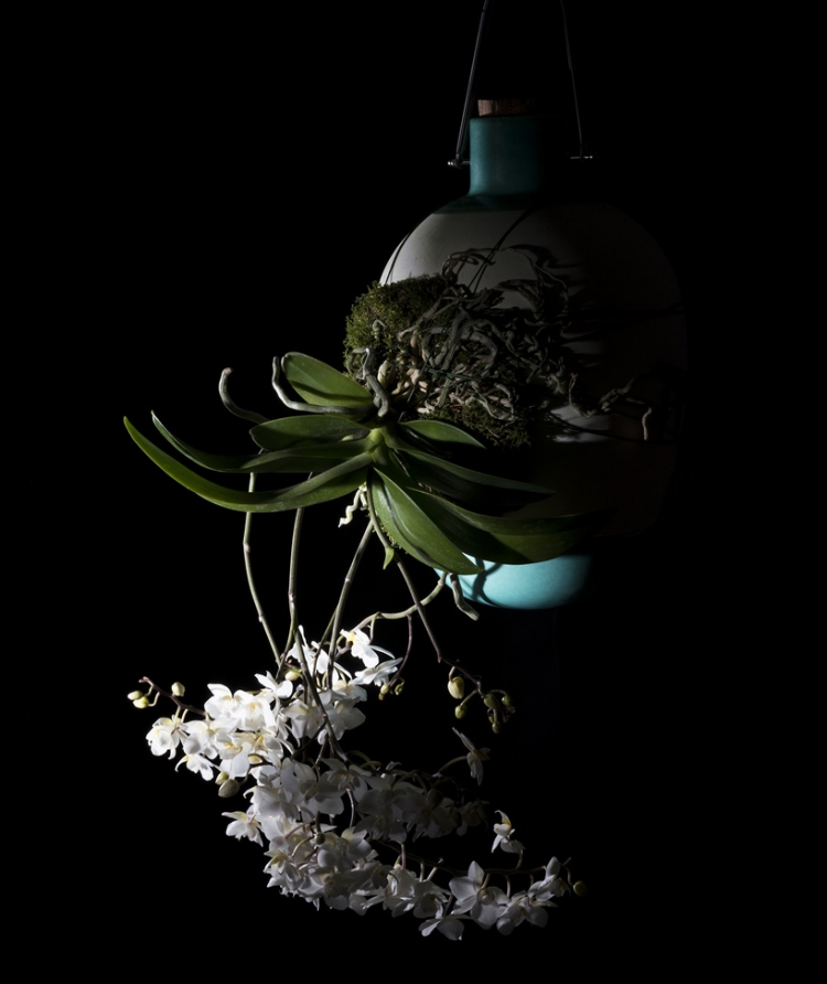 pot-suspendu-design-Dossofiorito-épiphite-fleurie-fleurs-blanches