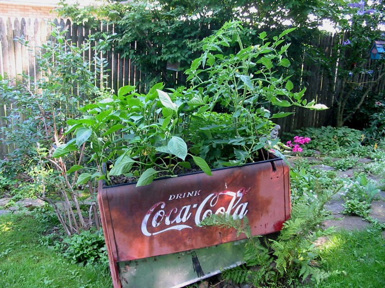 pots de fleurs -diy-congelateur-coca-cola-recycle