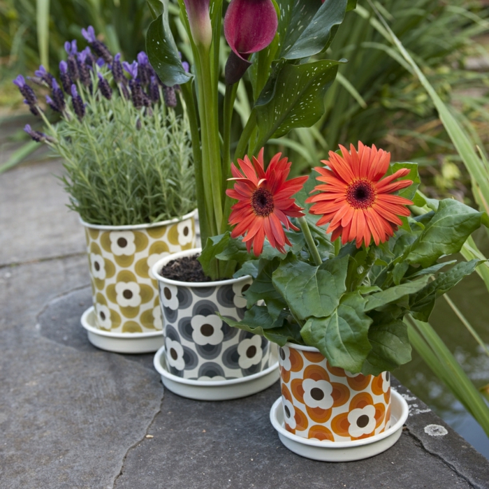pots-fleurs-lavandes-gerbéras-arums-boîtes-peinture-récup