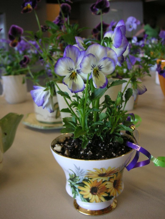 pots-fleurs-tee-tasse-stiefmuetterchen-lila-blumentopf-inspiration