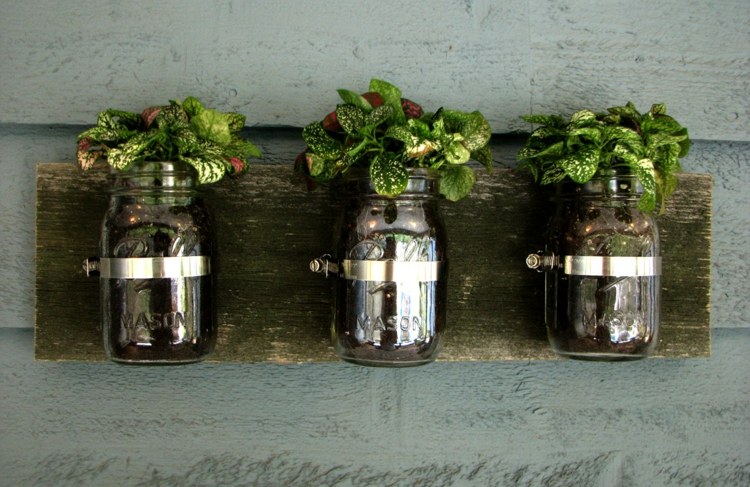 pots-pour-plantes-originaux-fabiquer-soi-même-bocaux-verre