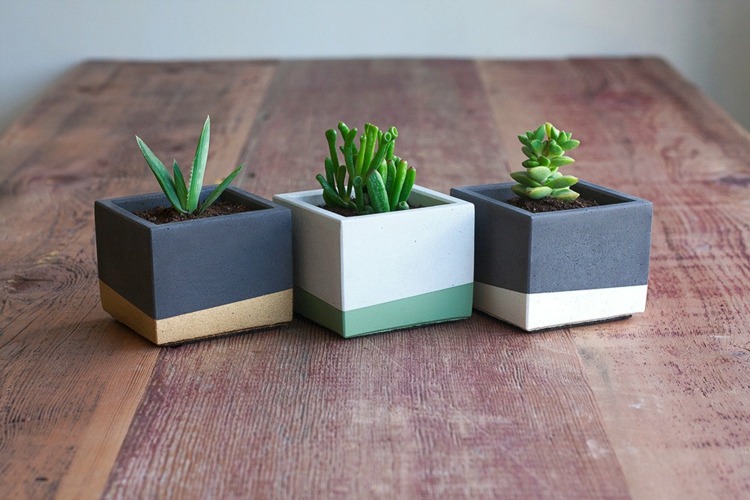 trio-pots-carrés-plantes-intérieur-design-original