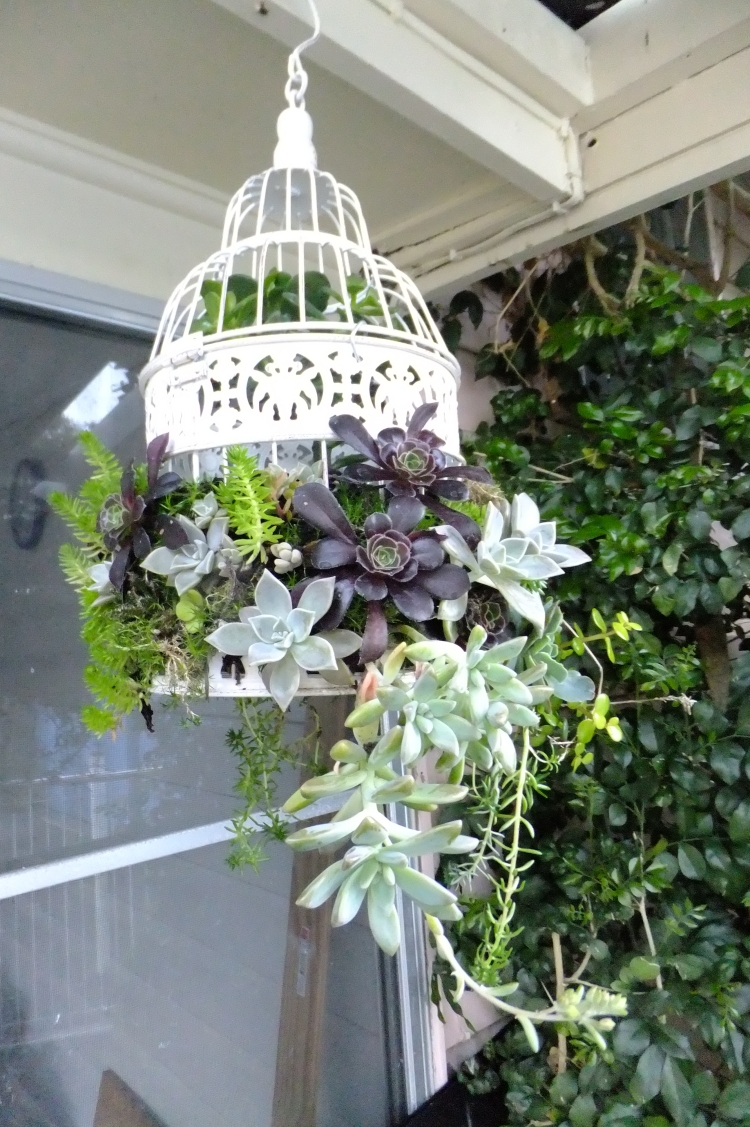 deco-jardin-idees-DIY-cage-pots-fleurs-plantes-succulentes