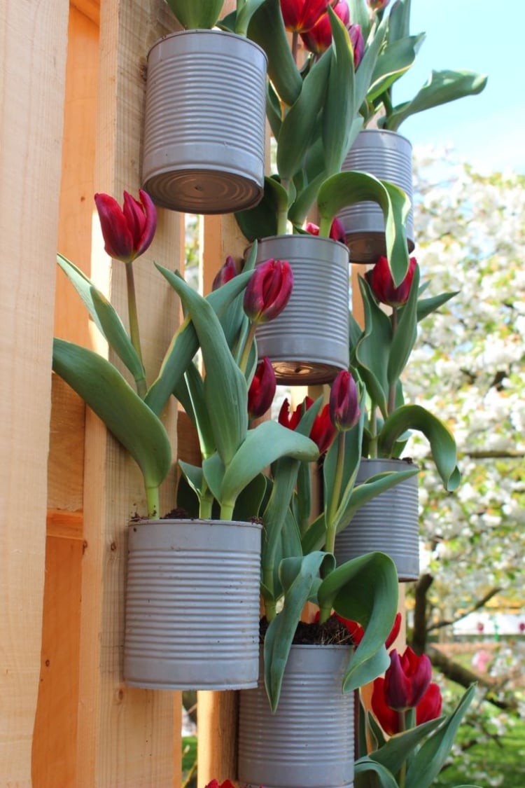 déco jardin idees-DIY-mur-pots-fleurs-boite-conserve-tulipes