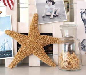 decoration-marine-etoile-mer-bocal-photos