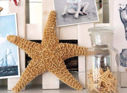 decoration-marine-etoile-mer-bocal-photos