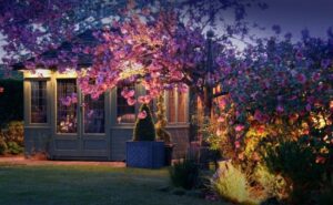 eclairage-exterieur-arbre-fleuri-rose-lampes-plafond-maison