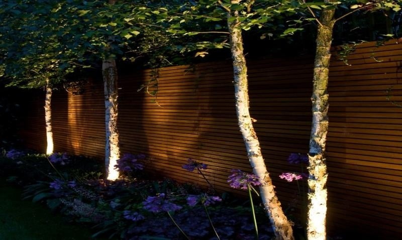 eclairage-exterieur-lampes-solaires-arbres-fleurs-clôtures-lattes-bois