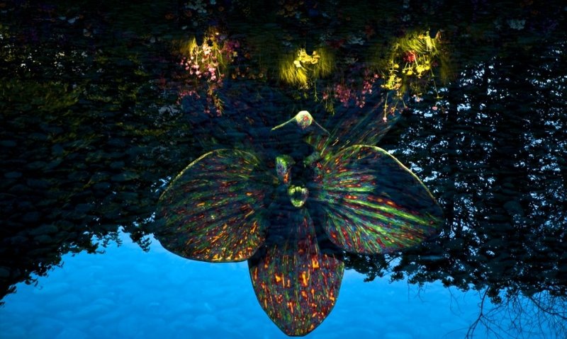 eclairage-exterieur-sculpture-contemporaine-fleur-lumineuse
